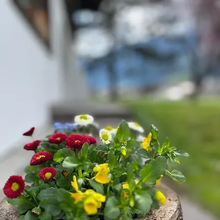 Appartement St.hubertus Zell am Ziller
