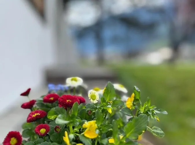 Apartamento St.hubertus Zell am Ziller