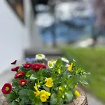 Apartamento St.hubertus Zell am Ziller